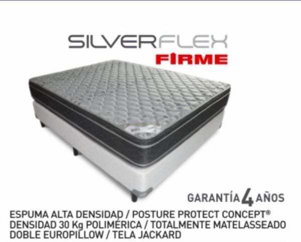 Conjunto Gani - SILVER FLEX